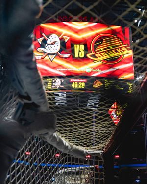 Image post by @AnaheimDucks on Twitter