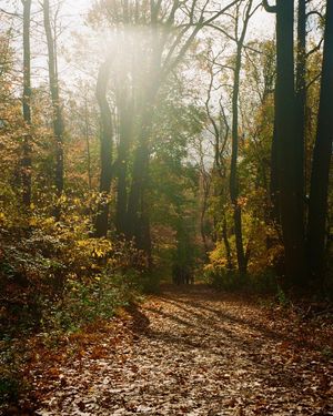 Image post by @camilleshaw on Instagram