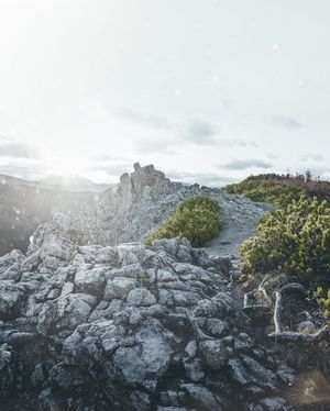 Image post by @kszczuka on Instagram