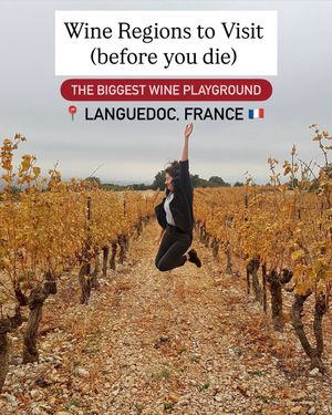 Image post by @wine.gini on Instagram