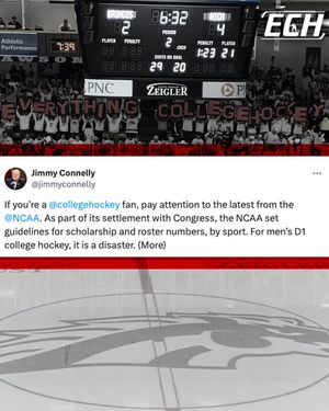 Image post by @everythingcollegehockey on Instagram