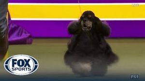Video post by @foxsports on YouTube