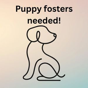 Image post by @northmeckanimalrescue on Instagram