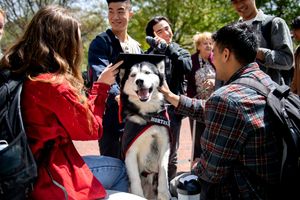 Image post by @northeastern on Instagram