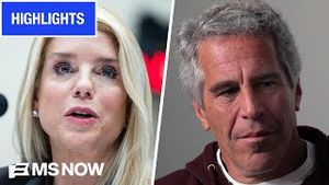 Video post by @msnbc on YouTube