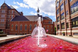 Image post by @GoDuquesne on Twitter