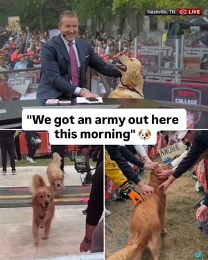 Image post by @collegegameday on Instagram