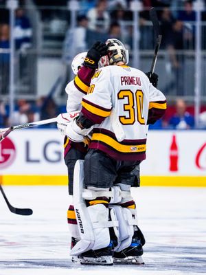 Image post by @chicagowolves on Instagram