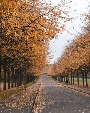 Image post by @visitscotland on Instagram