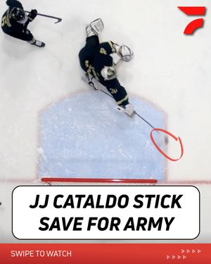 Image post by @flohockey on Instagram
