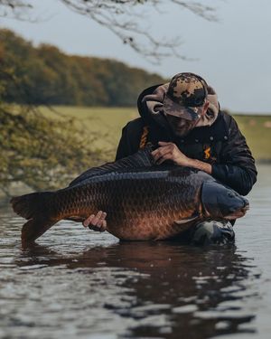 Image post by @brothercarp on Instagram