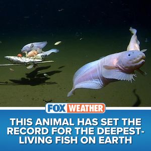 Image post by @foxweather on Instagram