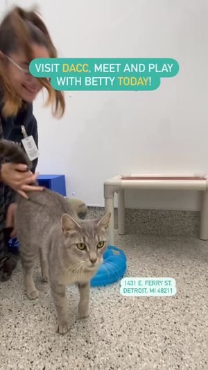 Video post by @DetroitGSD on Facebook