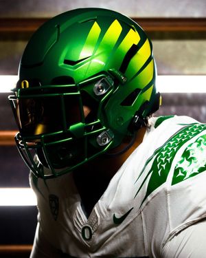 Image post by @goducks on Instagram