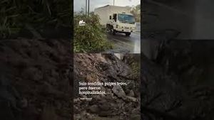 Video post by @nmasunivision on YouTube