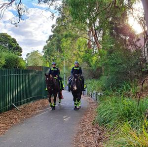 Image post by @victoriapolice on Instagram
