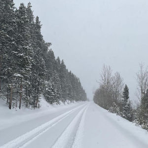 Image post by @9newsdenver on Instagram