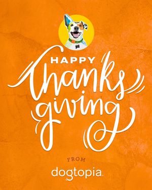 Image post by @dogtopiagr on Instagram