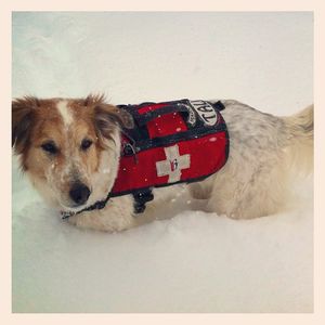 Image post by @breckenridgemtn on Instagram