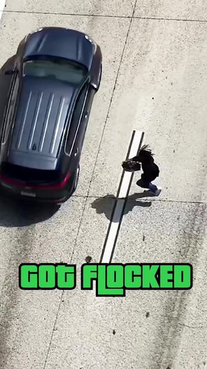 Video post by @flocksafety on TikTok