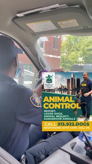 Video post by @DetroitGSD on Facebook