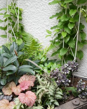 Image post by @kaho_flowerdesigner on Instagram