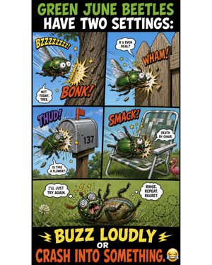 Image post by @bugbustersusa on Instagram