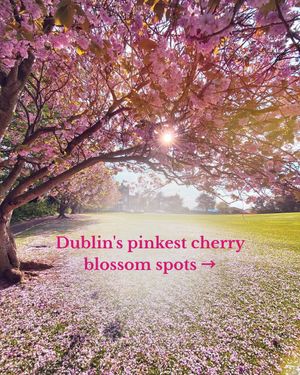 Image post by @visitdublin on Instagram