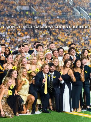 Image post by @mizzouhomecoming on Instagram