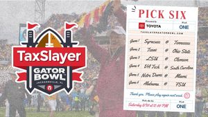 Image post by @taxslayerbowl on Twitter