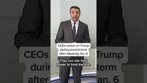 Video post by @msnbc on YouTube