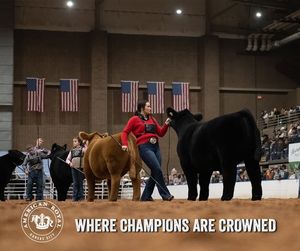 Image post by @AmericanRoyalLivestock on Facebook