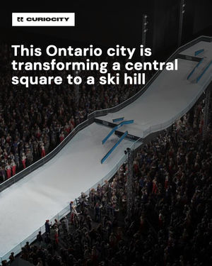 Image post by @curiocitytoronto on Instagram