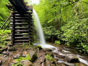 Image post by @nationalparkscollective on Instagram