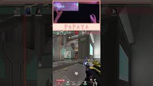 Video post by @artisanpapaya on YouTube