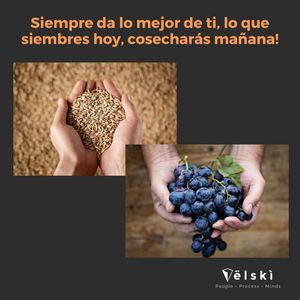 Image post by @mariovelski on Instagram