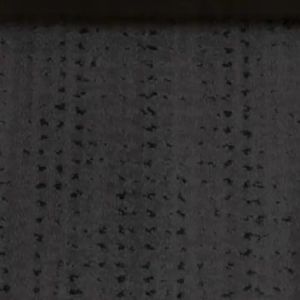 Video post by @drewmarsh18 on Twitter