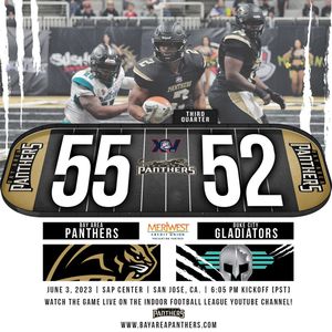 Image post by @panthersifl on Instagram