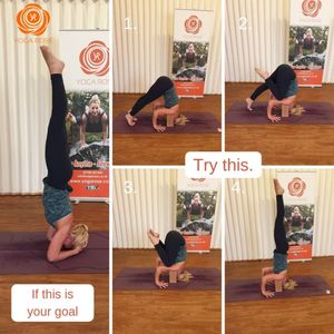 Image post by @yogaroseinsta on Instagram