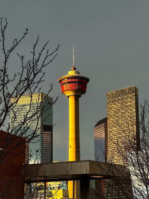 Image post by @cityofcalgary on Instagram