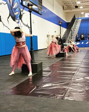 Image post by @wgisportofthearts on Instagram