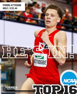 Image post by @cornelltfxc on Instagram