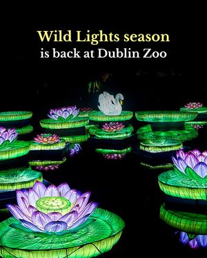 Image post by @visitdublin on Instagram