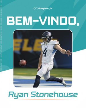 Image post by @dolphins_br on Instagram