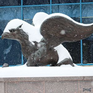 Image post by @gogriffs on Instagram