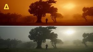 Video post by @artlist_io on YouTube