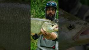 Video post by @jonasederfishing on YouTube