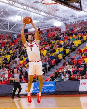 Image post by @ucalgarydinos on Instagram