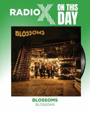 Image post by @radiox on Instagram