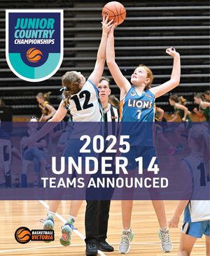 Image post by @basketball_vic on Instagram